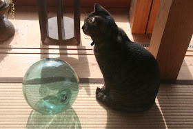 丸いものといえば？丸いものと聞いて思い浮かぶものランキングTOP31！みんなのランキング