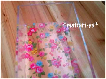 セリア＊男前シリーズ＊クリアピクチャーケース猫汁の小部屋＊2号室