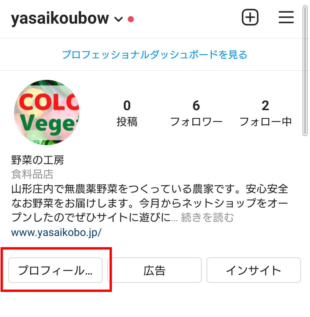 インスタプロフィールの書き方 11個の項目とフォローされる5つのコツを解説アドネスラボ