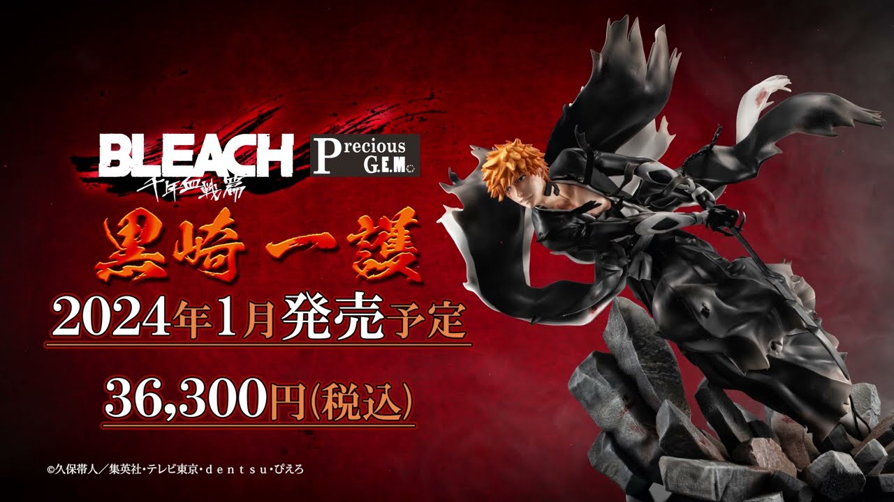 Precious BLEACH 黒崎一護