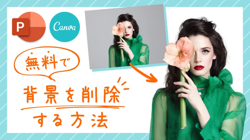 無料 写真の背景を消すおすすめアプリ５選！透過する方法紹介