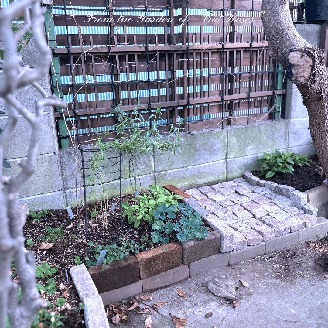 全部で約430個！！ ピンコロ石 半ピン+90mm角ミックス 割肌 庭・花壇・DIY・石畳・アプローチ・段石