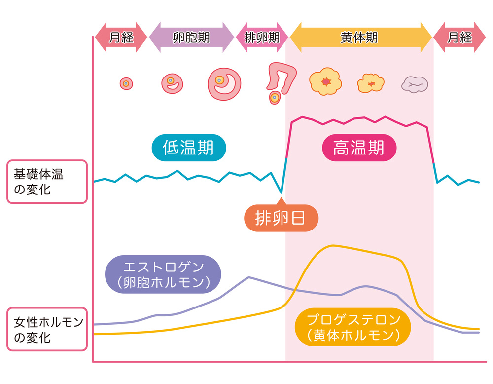 EDのことを知る | EDの原因は？ | ヴィアトリス製薬