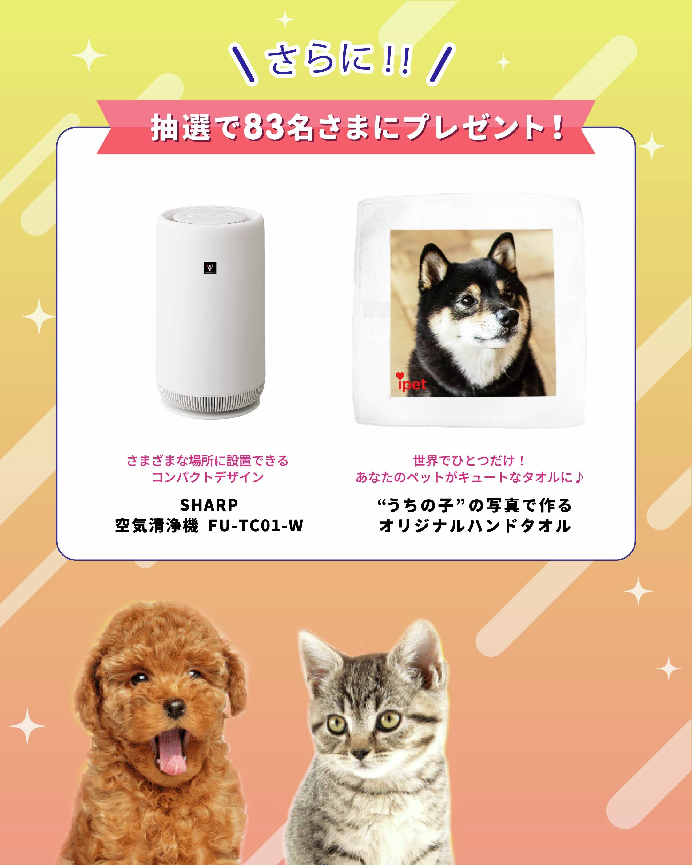 アイペット損害保険株式会社保険商品資料請求サイト