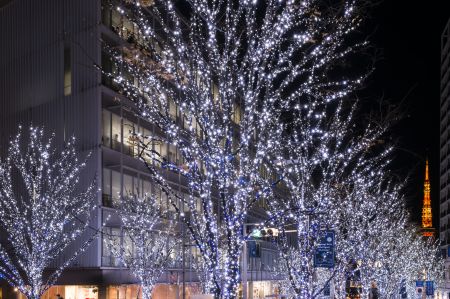 法律 著作物を撮影した 写真の権利 とは – ぶいろぐ