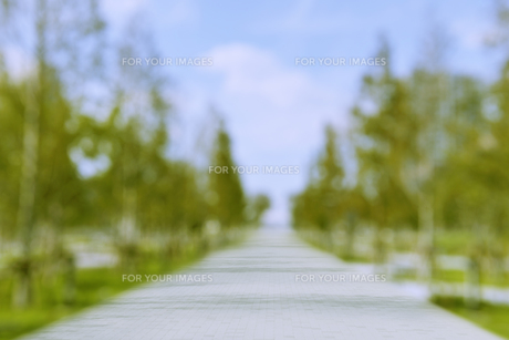 グリーンバックの使い方と合成動画の作り方を解説