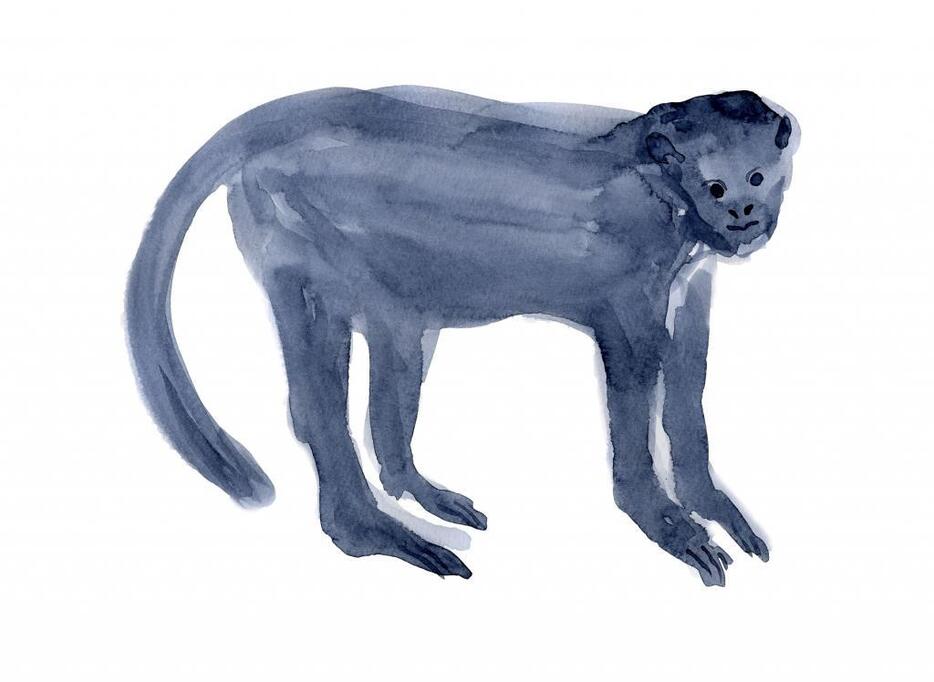 能面を被ってる日本人形 能面を被った女性 - 商用利用可能な写真