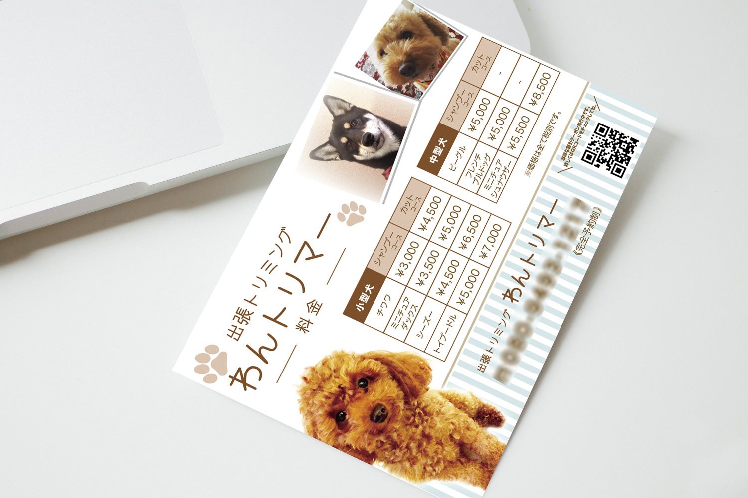 犬のトリミングの写真を使ったトリミングサロンのチラシ の無料チラシテンプレート 14033 - デザインAC