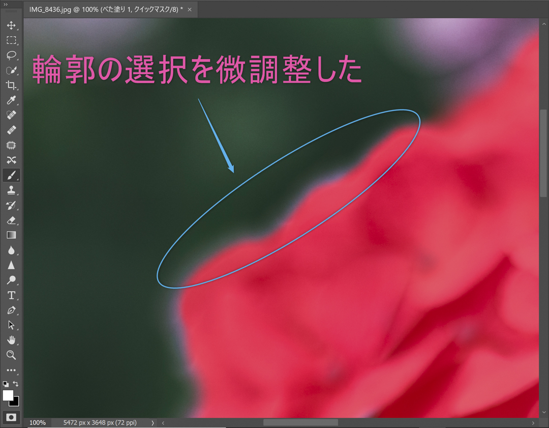 Photoshopで選択範囲を作る方法。ツールそれぞれの調整方法を解説！一眼フォトカメラブログ