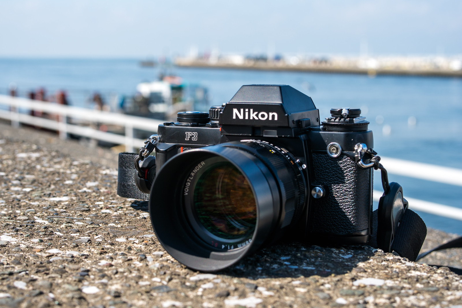 d*9様 Nikon F フィルムカメラ Nikon F 伝説の名機・おすすめモデル