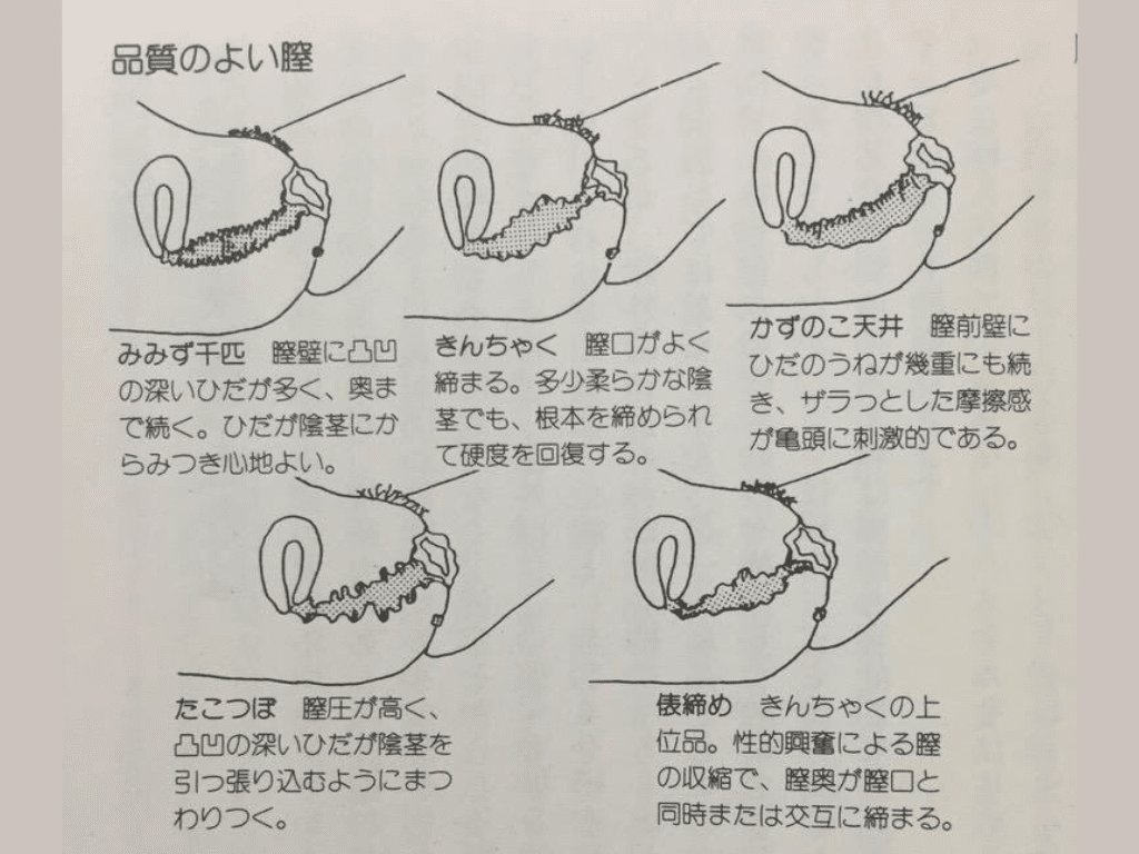 吸い付く名器のおまんこで肉棒を楽しませる美人お姉さん無修正。 | カリクビアンコム