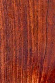 EoFw8SbB4NA4.wooOBrDEg.jpg林 聖倫Flickr