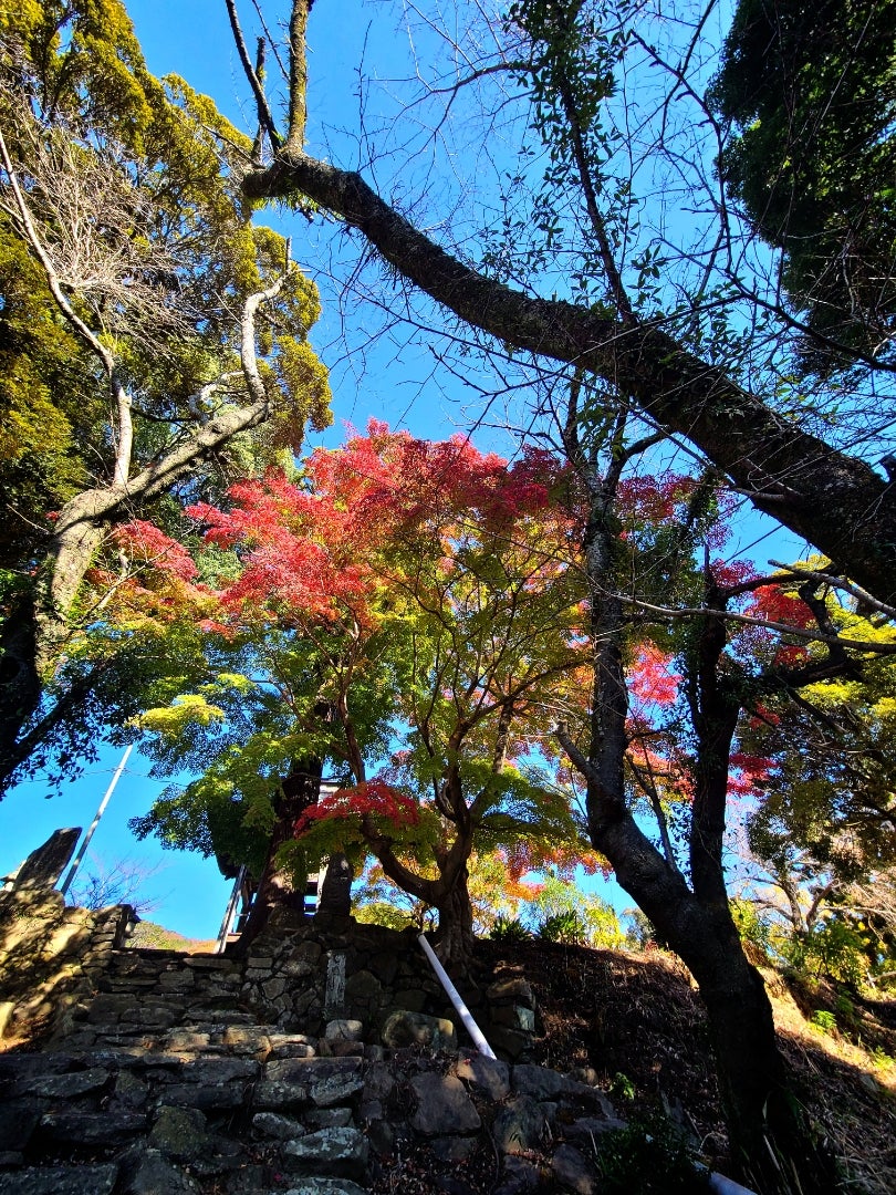 もみじこども園 – 学校法人 常福寺学園