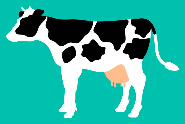 113,800点を超える牛肉のイラスト素材、ロイヤリティフリーのベクター素材グラフィックスとクリップアート - iStockステーキ, 豚肉,鶏肉