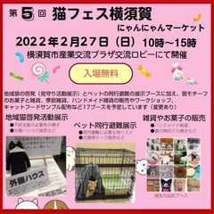 横須賀昌美“にゃんにゃん写真”の真相告白「ＣＭ違約金３８００万円」「流出経路はカメラ店」 | 東スポWEB