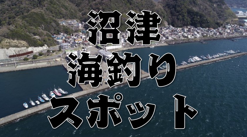 ホームズ】沼津市大諏訪中古住宅｜沼津市、JR東海道本線 片浜駅 徒歩17分の中古一戸建て