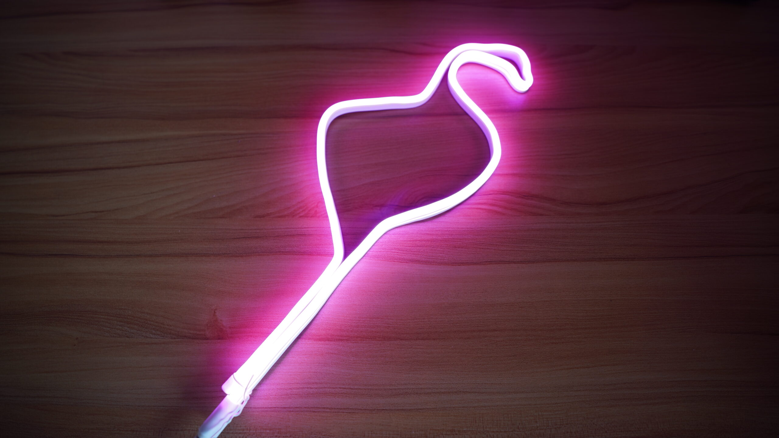 人気すぎて一時期品切れしてたセリアのスプレーボトルが最近また再販されてる🎉 100円でこれはほんとすごいの👏観葉植物の水やりにももちろんなんだけど、 化粧水を詰め替えておくとお風呂上がりの暑ッ💦って時もふんわりミストが気持ちいいんよ🥹見つけたらぜひ買って