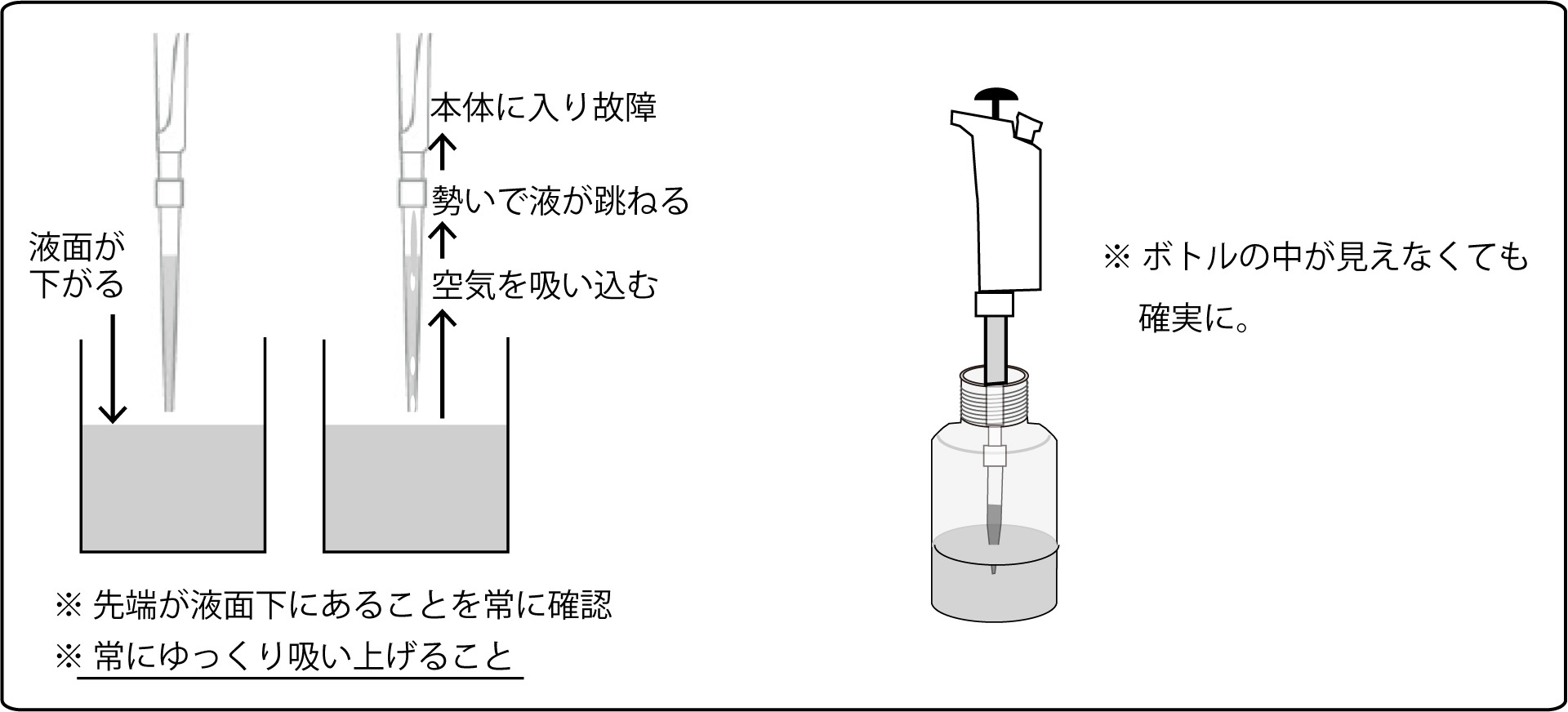 コース: ピペットの使い方 正しく使うコツLASBOS Moodle