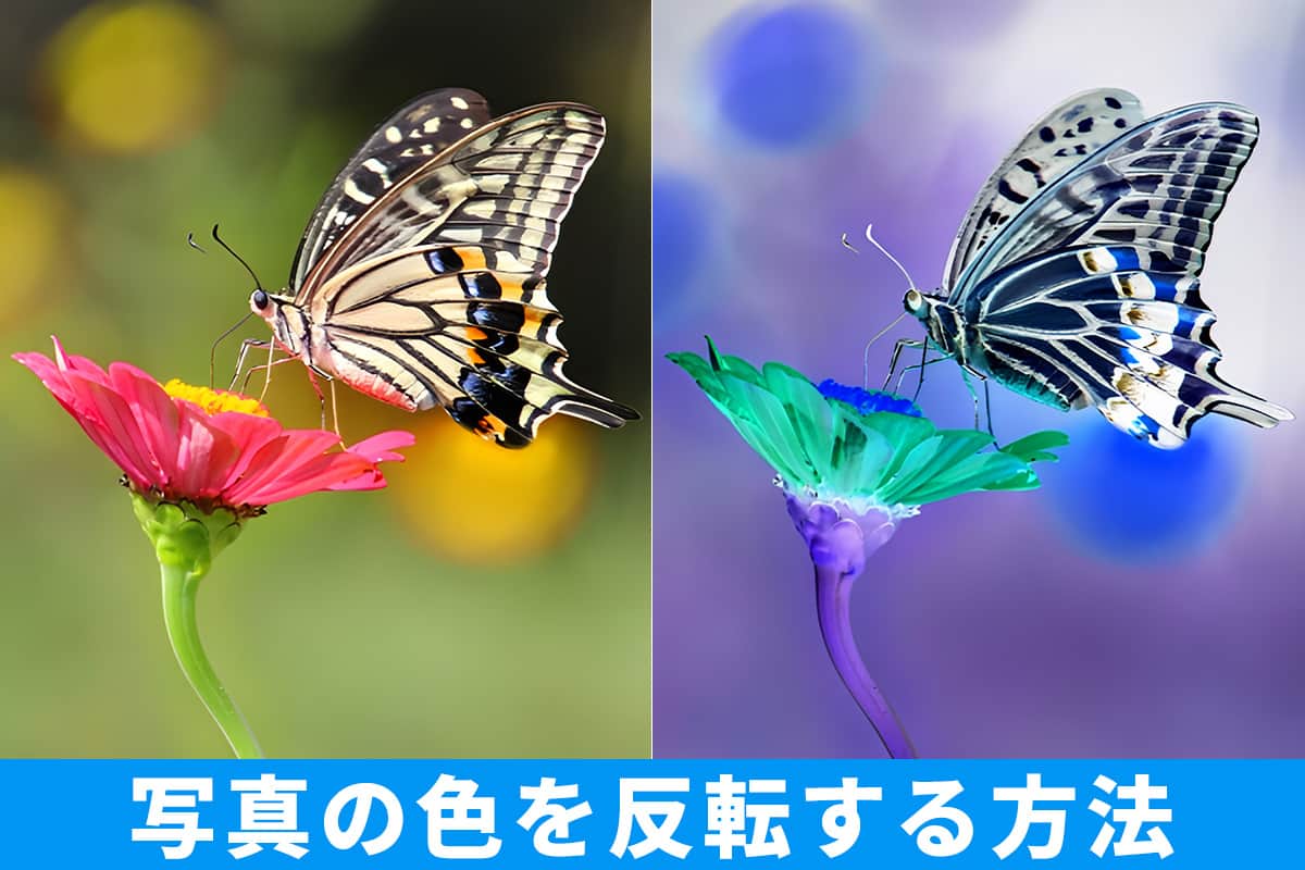 9年間描き続けている色反転絵画の制作過程