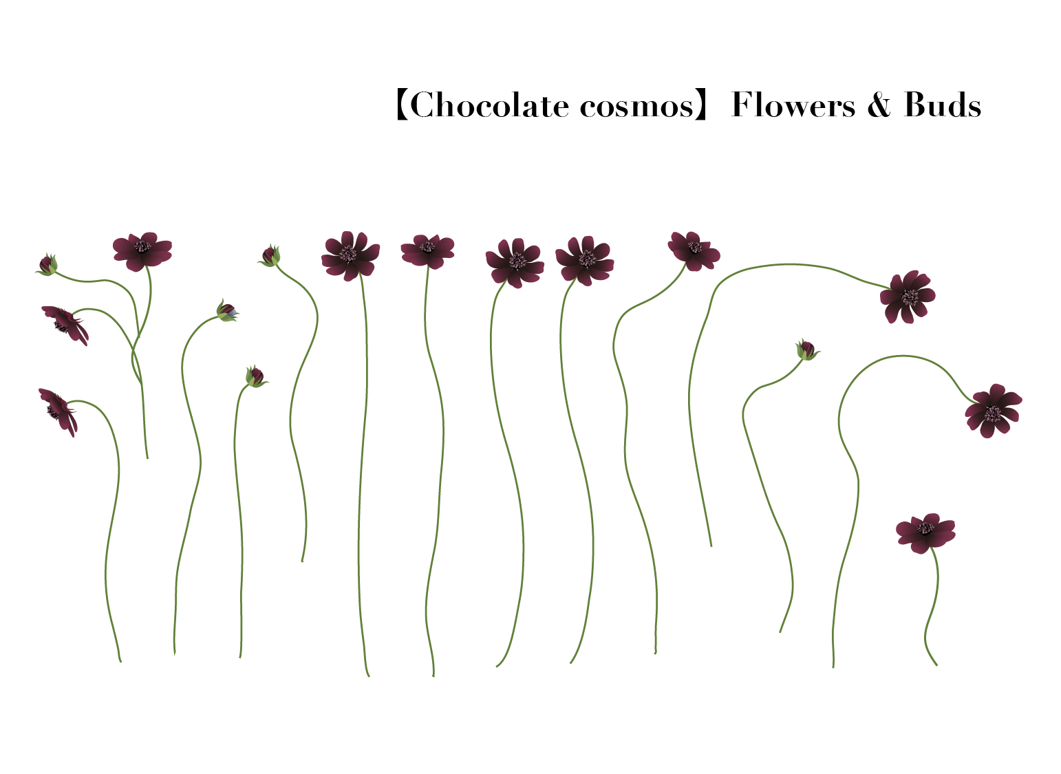 Illustrator お花の作り方 回転ツール初心者向けトピックスご当地写真・イラスト素材サイト PICTY ピクティ