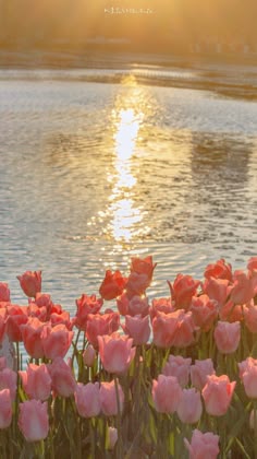 拾い画デザイナードレス系統統一系統系統チェンジおしゃれさんと繋がりたい拾い画Instagram