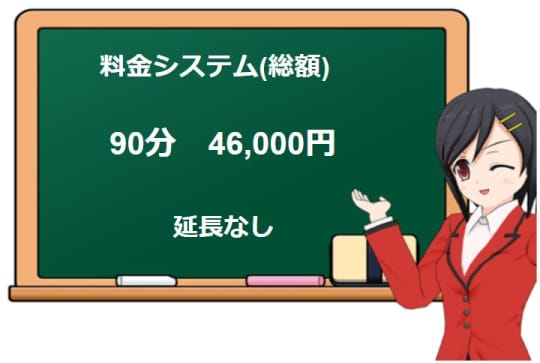 日本ソープランド(秘)プレイガイド vol.8 (ミリオンムック) |本