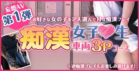 画像]:「1年間痴漢され続けた女2」 とらのあな秋葉原店AのPOP