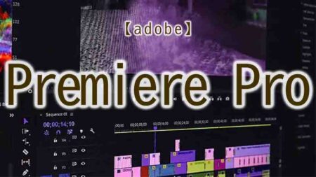 プレミアプロ動画の一部にモザイク・ぼかしを入れて追従させる方法は？動画編集テロップデザイン＆プリセット「ここ知り動画」