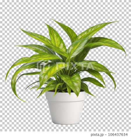 線画花イラスト画像とPSDフリー素材透過の無料ダウンロード - Pngtree