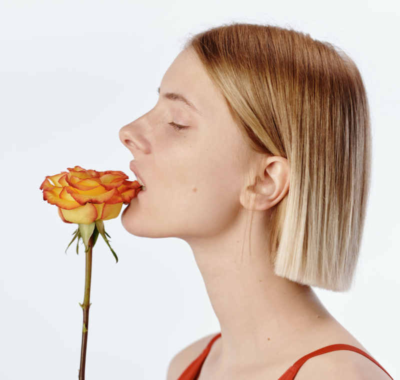 ピンボケ補正。写真や画像を無料でシャープにCanva