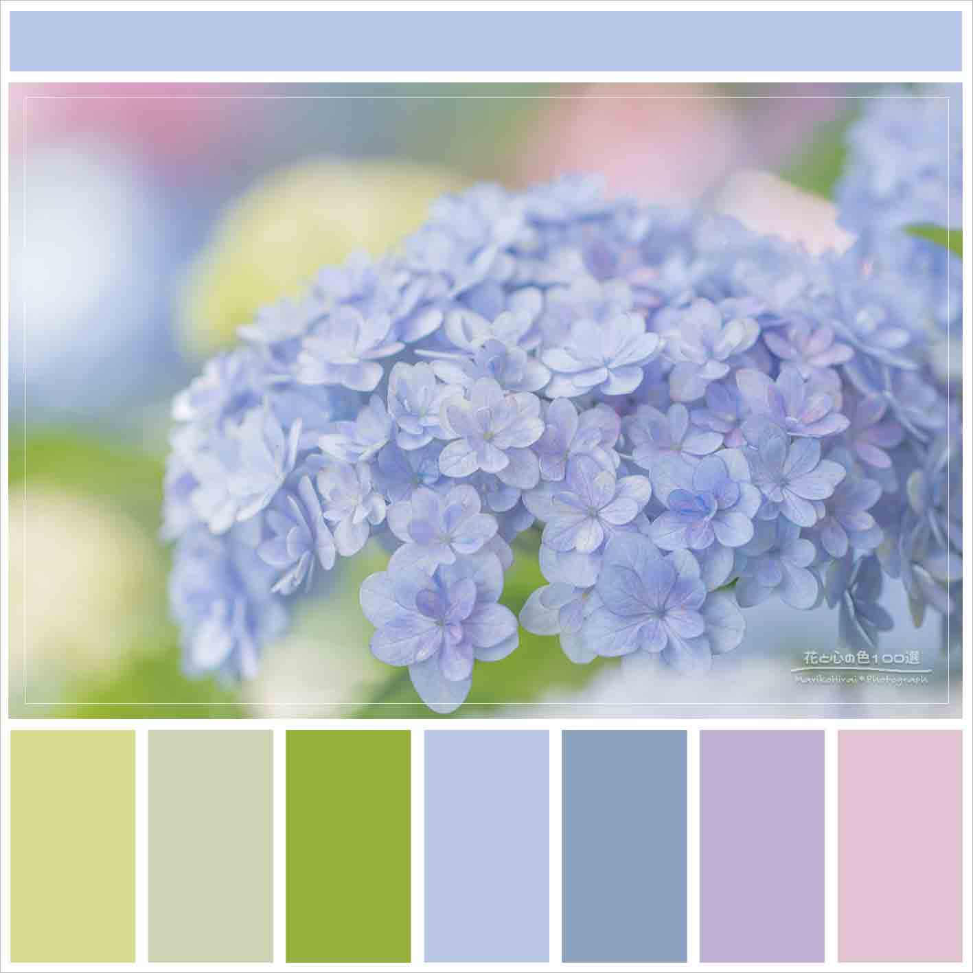 アメリカ製 4mmパラコード 30M パープル系 藤色匿名配送OK- メルカリ