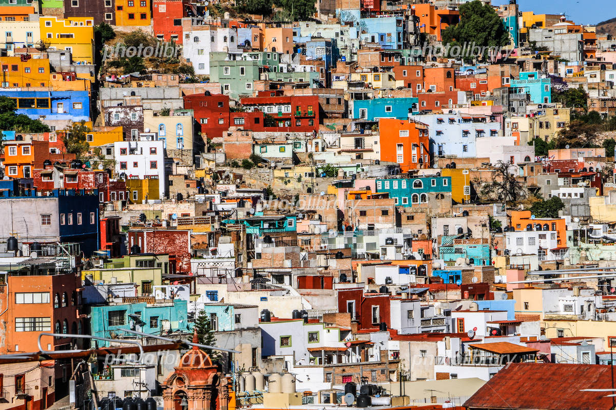 フルカラー・カラフルな花のイラスト・フリー素材 No.429『樹木と蝶』