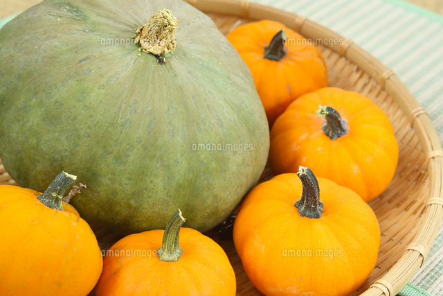 猫でもわかるファッションカラーの合う色合わない色 色彩編メンズ猫