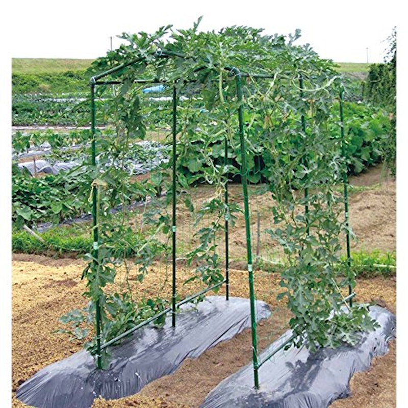 100均支柱3 セリアで見た支柱こまふふなめこの神社。見た夢。家庭菜園。フォロー条件あり