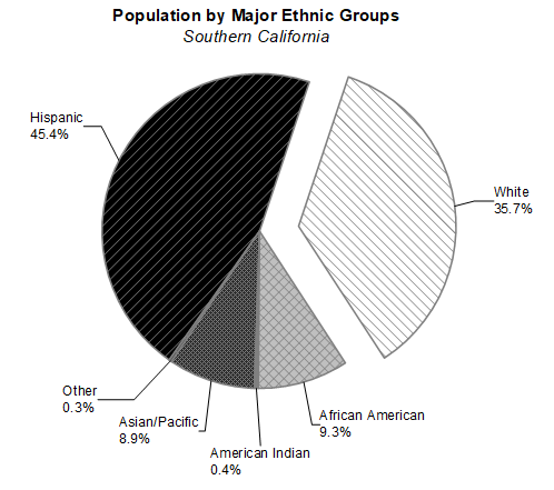 エクセル Excel で円グラフの中に円グラフを作るには 二重円グラフ資料づくりぶろぐ