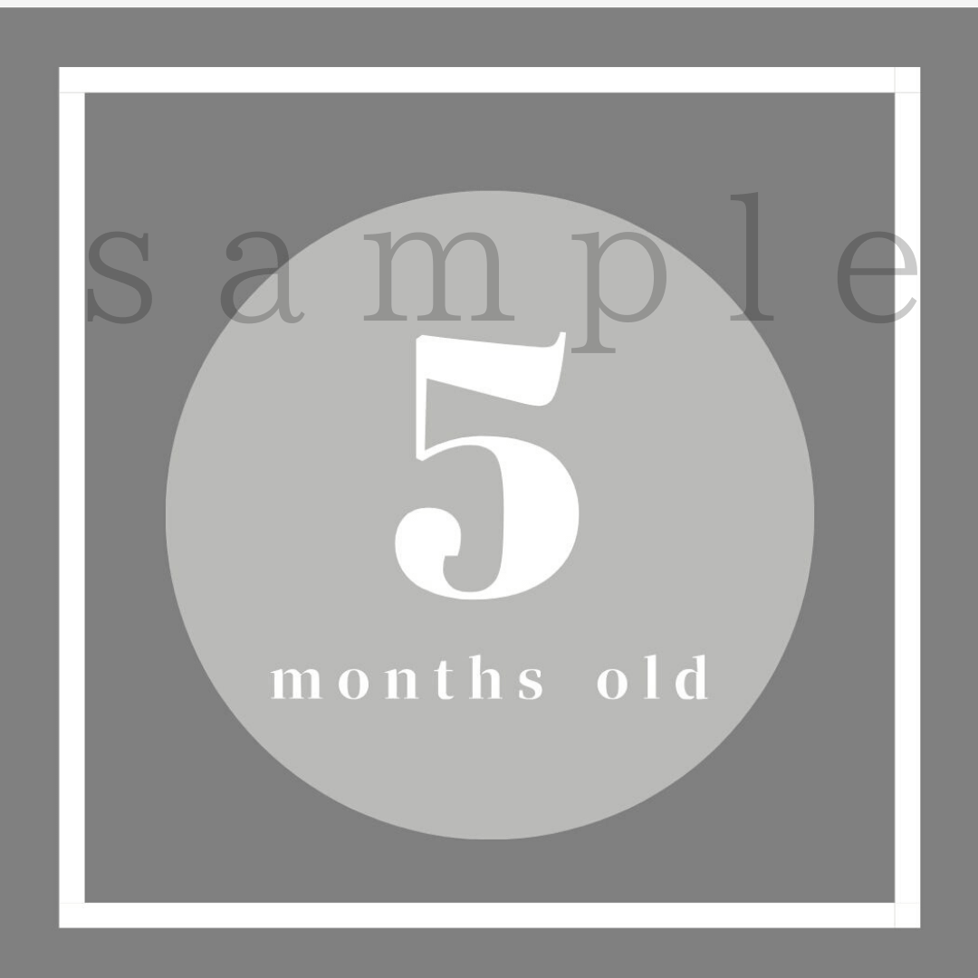 ほのかデザイン×マーケティング on X: 