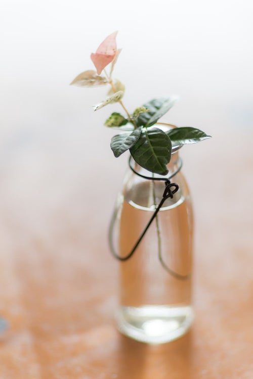 保存版 商業利用OK!おしゃれな写真フリー素材サイトまとめKaori Blog