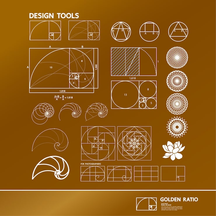黄金比」の写真素材79,594件の無料イラスト画像Adobe Stock