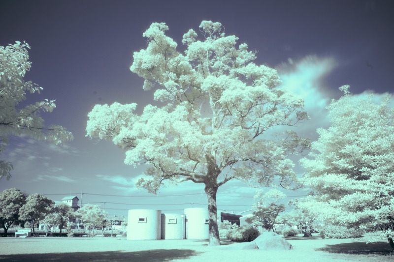 赤外線画像用フィルタ