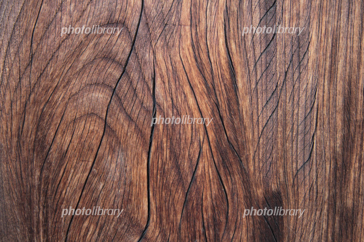 アンティークデスクとアイビーの無料の写真素材 - ID.18613フリー素材 ぱくたそ