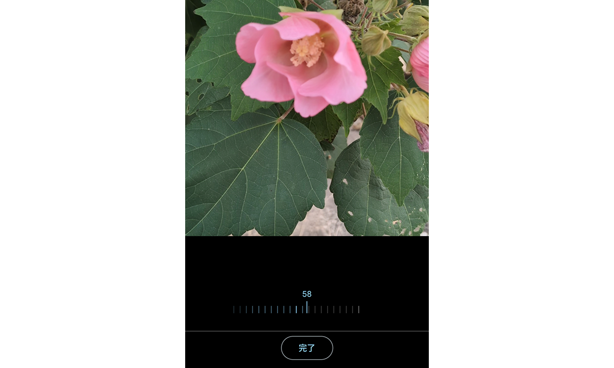 くっきり ぼやけた写真や画像を鮮明にする方法4選！原因も解説