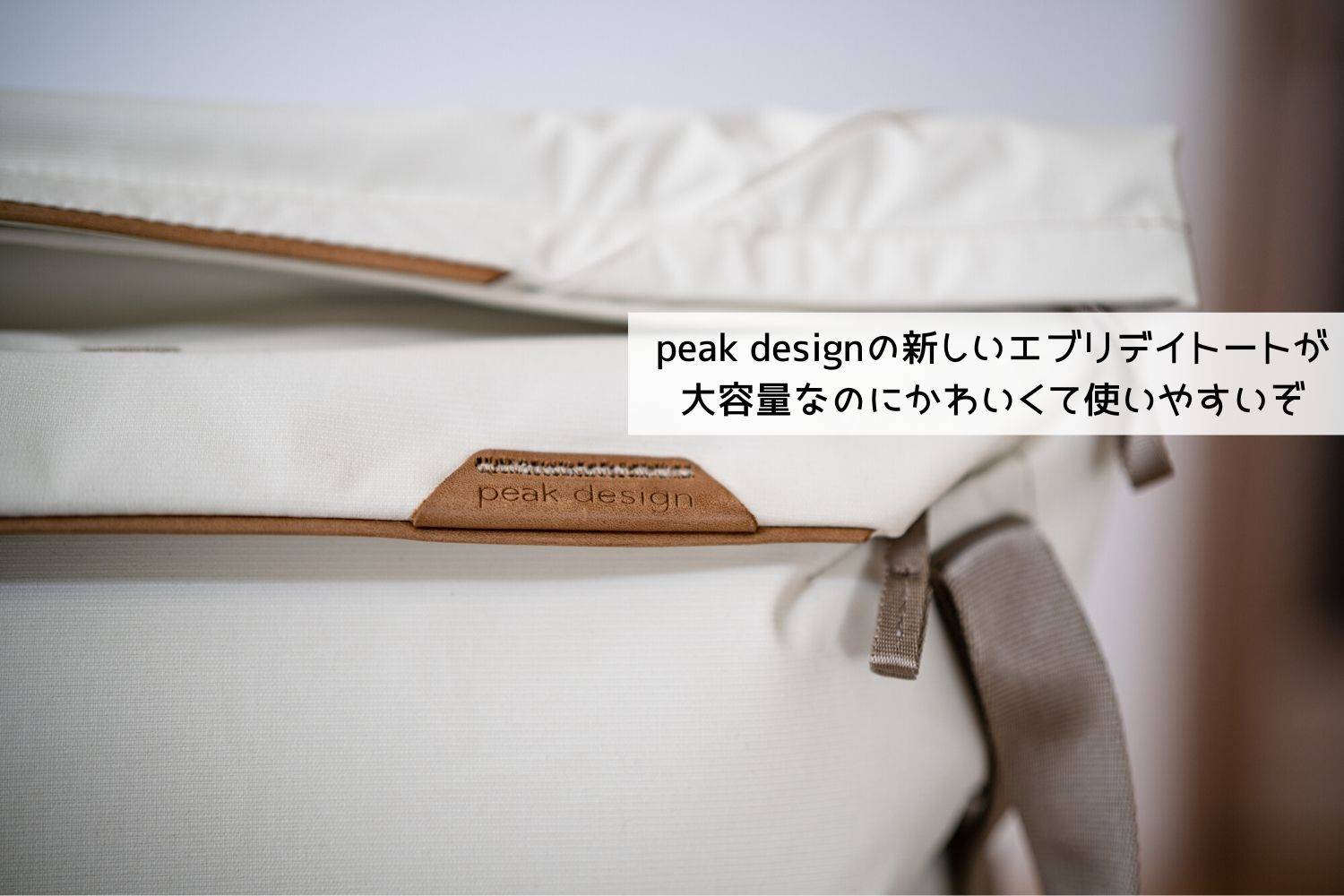 ピークデザイン エブリデイトート 15L 黒