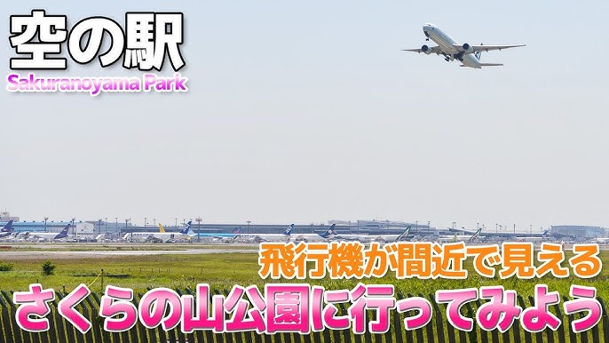 満開の桜と飛行機を同時に楽しむことができます。 - 成田市、さくらの山公園の写真 - トリップアドバイザー