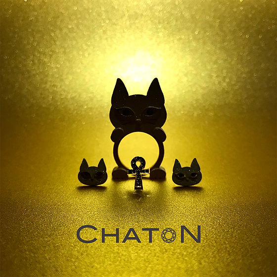 保護猫カフェ Chaton−シャトン−