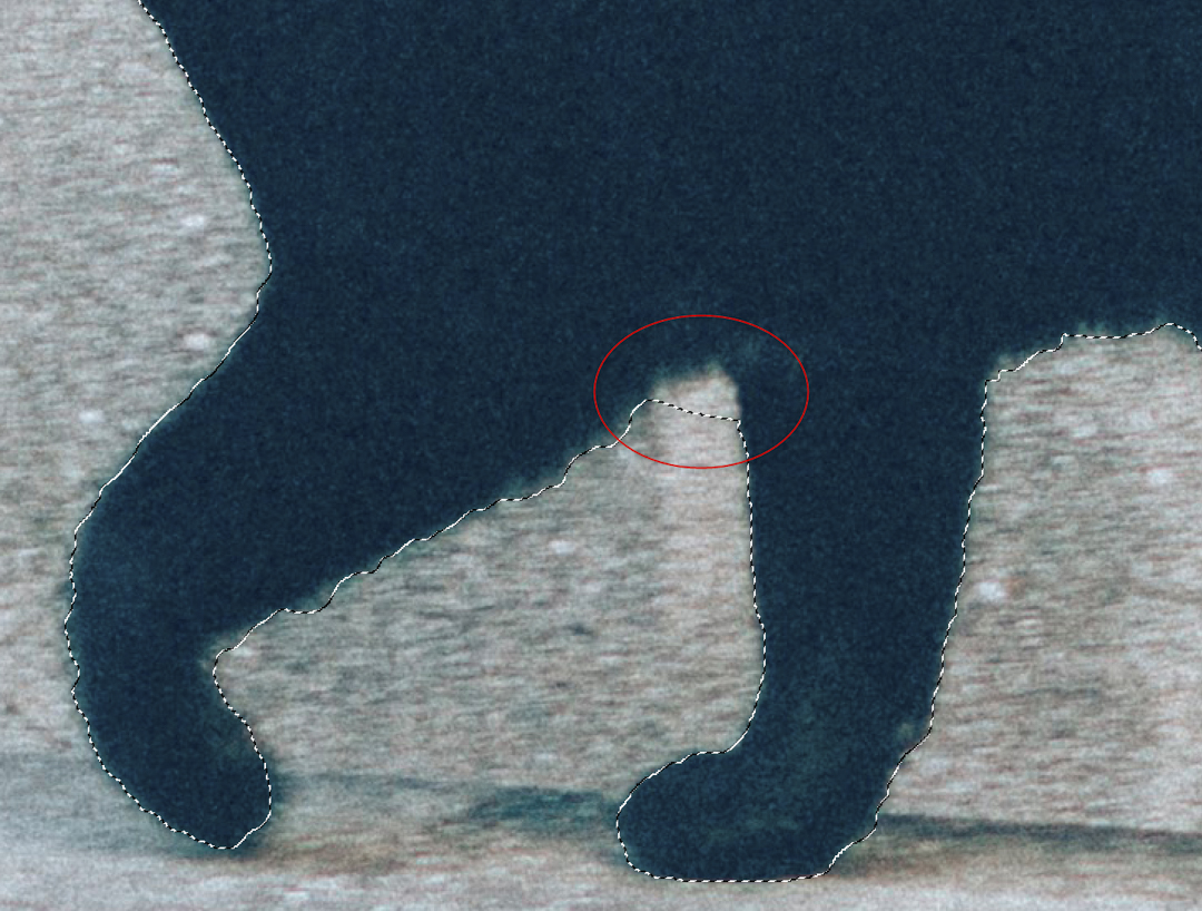 Photoshop クイック選択ツールを使って画像を切り抜く方法 - hi-photography