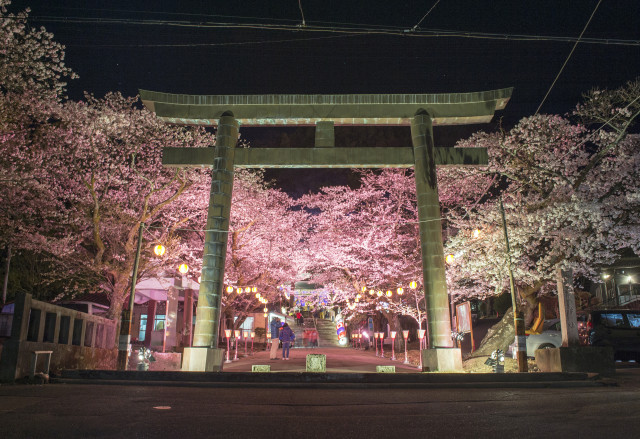 鬼怒川温泉 | 鬼怒川温泉の楯岩展望台からの夜景。 | edo787ak