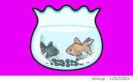 水滴金魚イラスト動画 素材アフターエフェクト AE ・Edius 無料ダウンロード - Pikbest