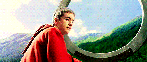 ハリー・ポッターシリーズのグリフィンドールまとめ4 6- RENOTEリノート