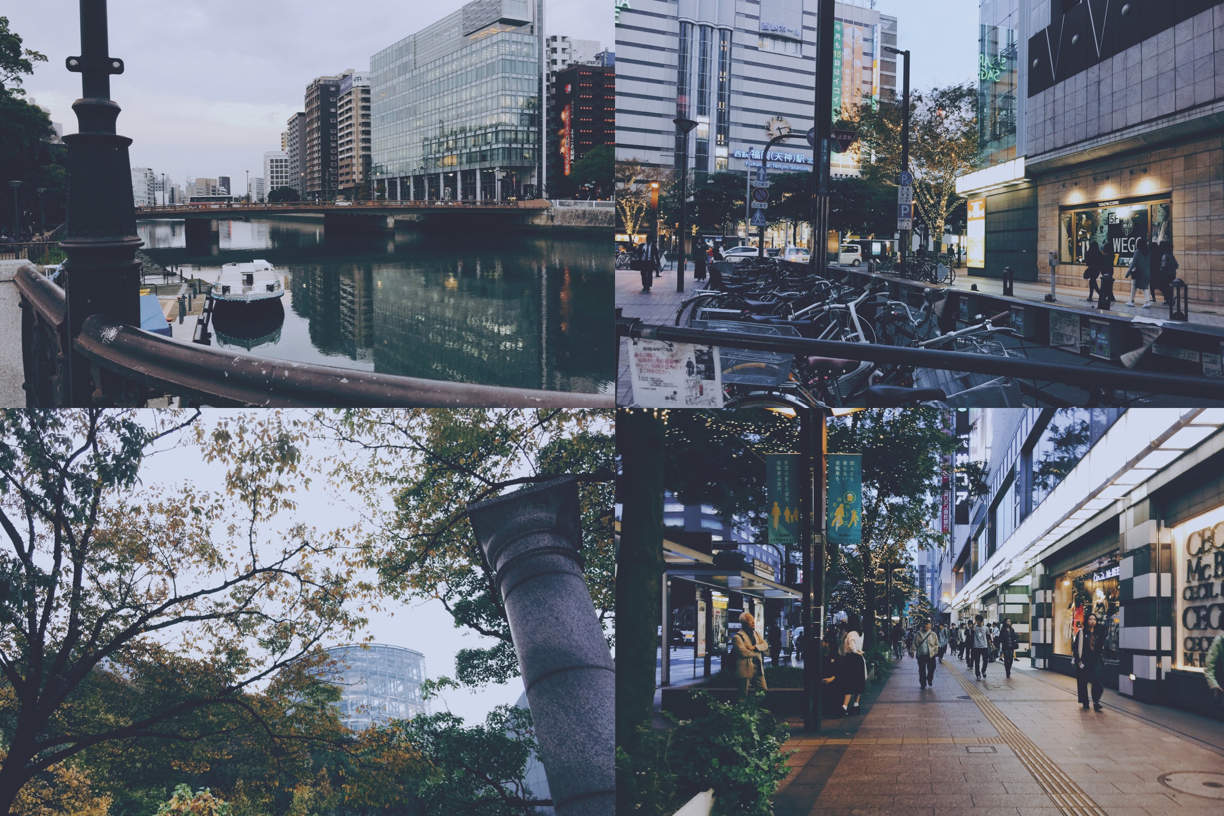 フィルムカメラ人気再来！スマホで簡単にレトロ写真を撮影できるアプリ「Dazzカメラ」 yucoの加工レシピ Vol.48yuco＜連載コラム＞GENICジェニック