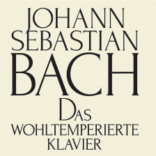 Magellin - エレガントな署名スクリプトフォント、スクリプトフォント、署名フォント、モダンフォント、エレガントなフォント、Canvaフォント 、Cricutフォント、Procreateフォント、 - Etsy 日本